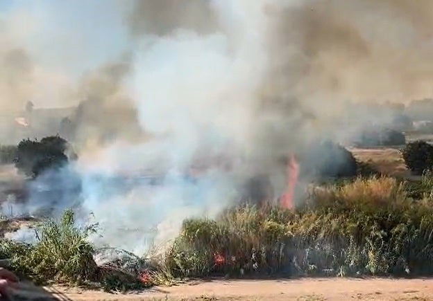 El incendio de Alfarrasí ha cruzado el río hasta el término de Montaverner.