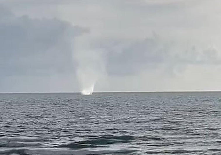 La manga marina que se ha formado a escasos kilómetros de Valencia ciudad.