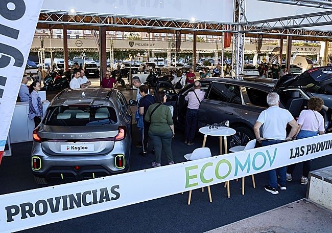 Superficie expositiva, en el Tinglado 2 de La Marina de Valencia.