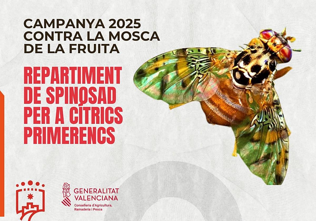 Detalle del cartel anunciador de la campaña.