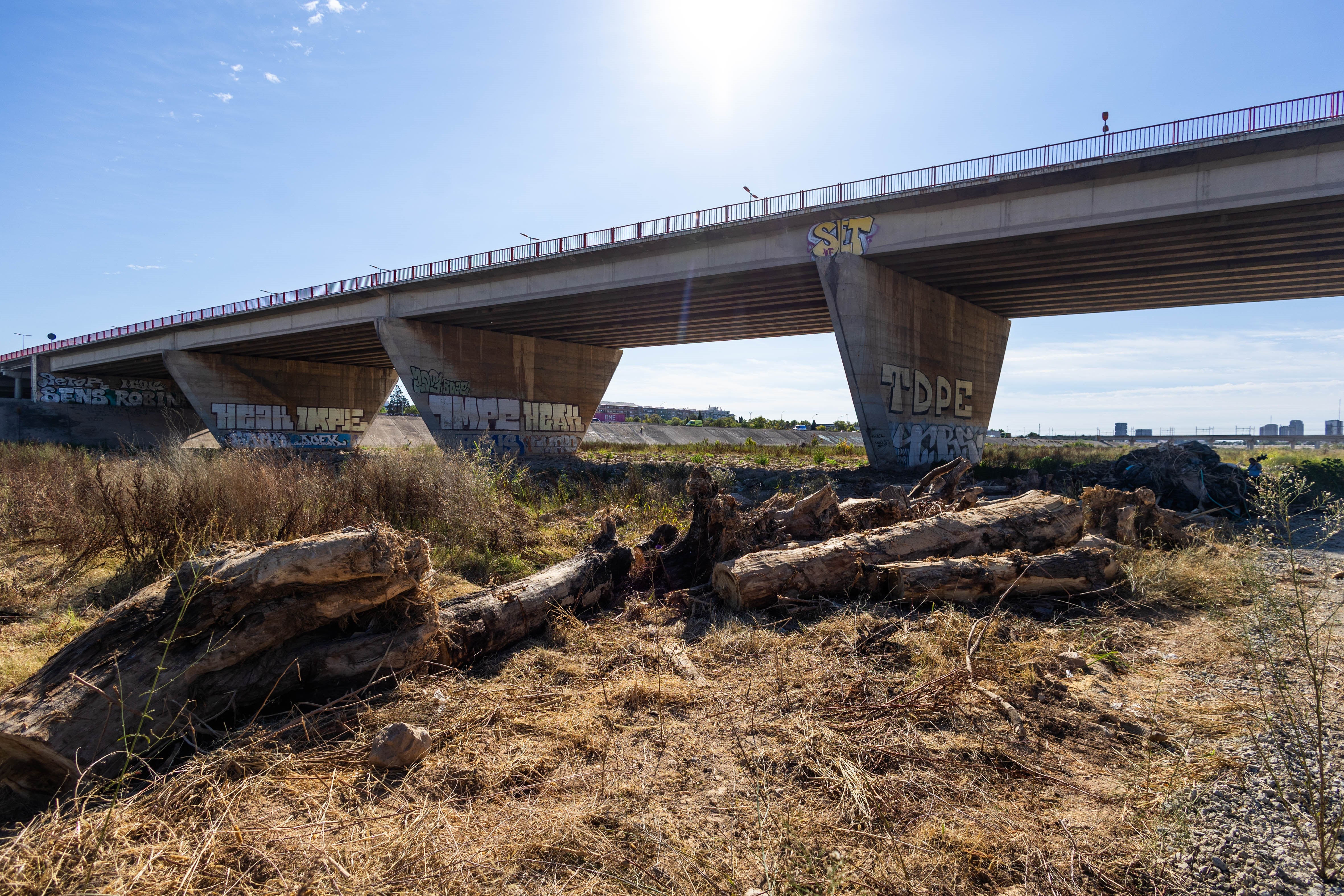 Troncos y arbustos arrastrados por la dana en el nuevo cauce del Turia a su paso por Valencia.