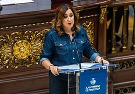 Catalá, durante el pleno extraordinario.