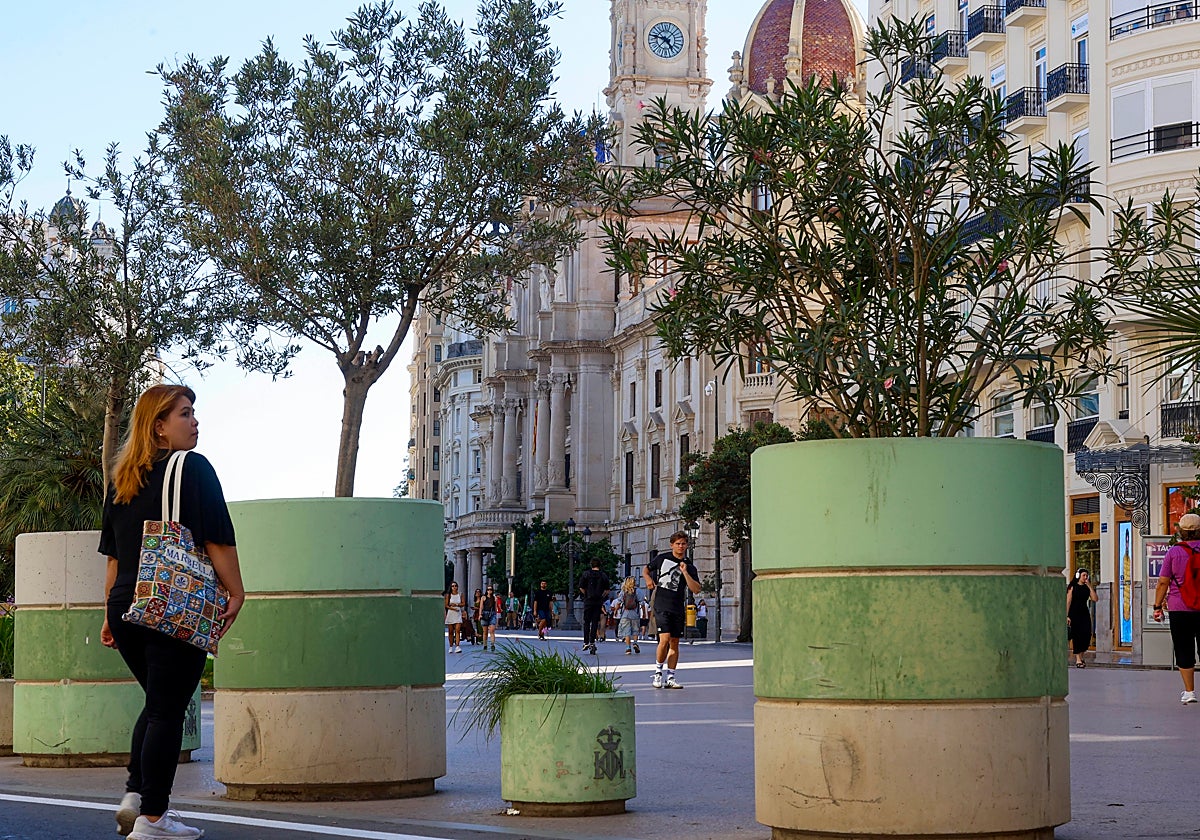 Los maceteros de la polémica que servirán de casas para gatos.