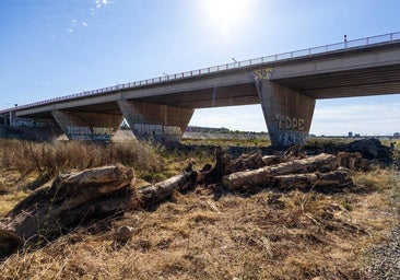 El Ayuntamiento instalará cámaras en el nuevo cauce del Turia y el Carraixet para vigilar crecidas