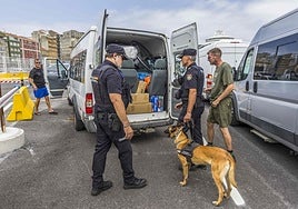 Agentes y guias caninos inspeccionan una furgoneta.