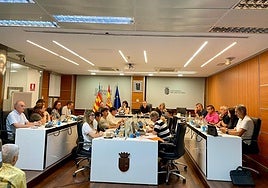 Pleno del Ayuntamiento de Riba-roja.