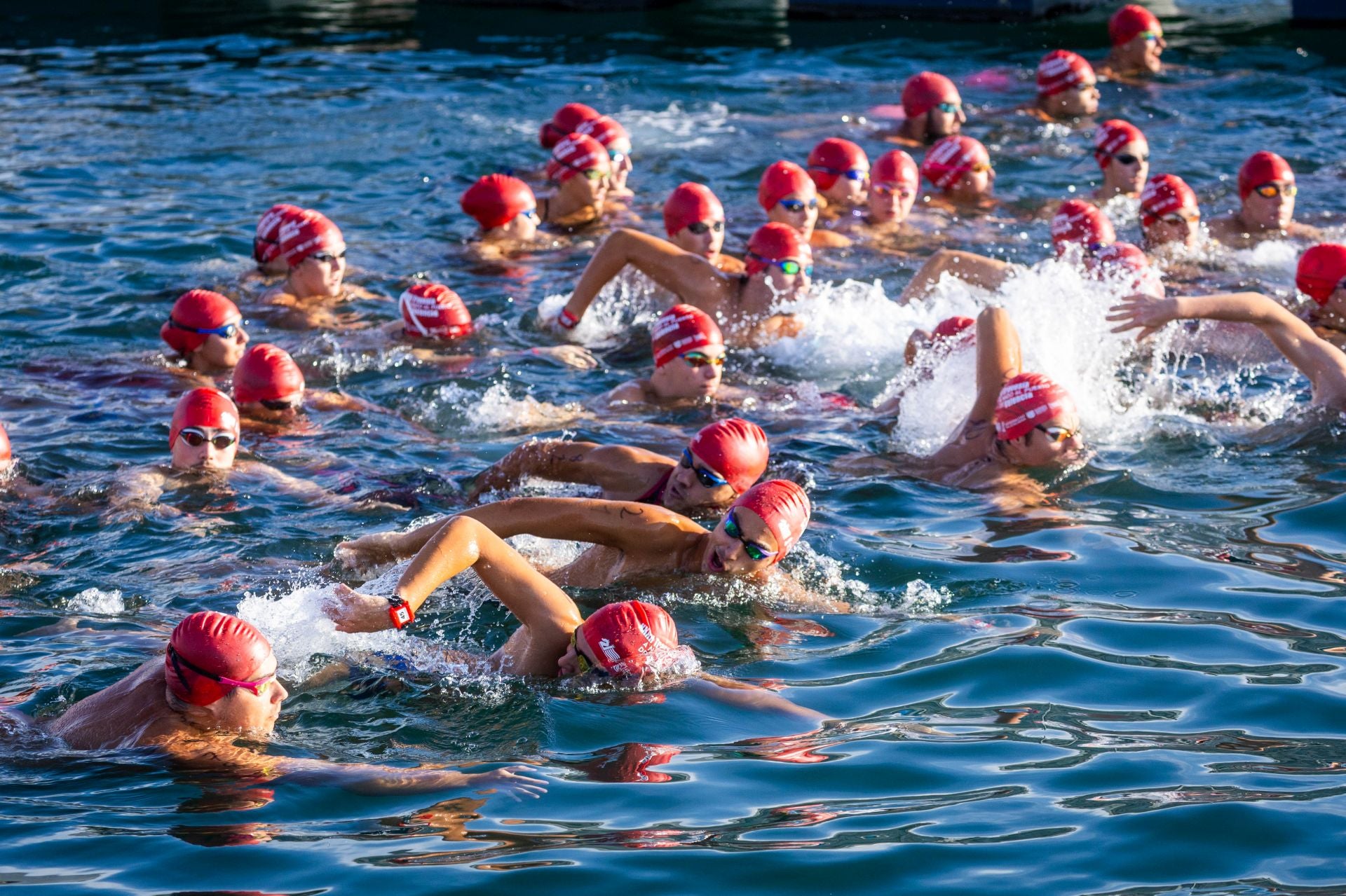 Búscate en la Travesía a nado del Puerto de Valencia de este sábado