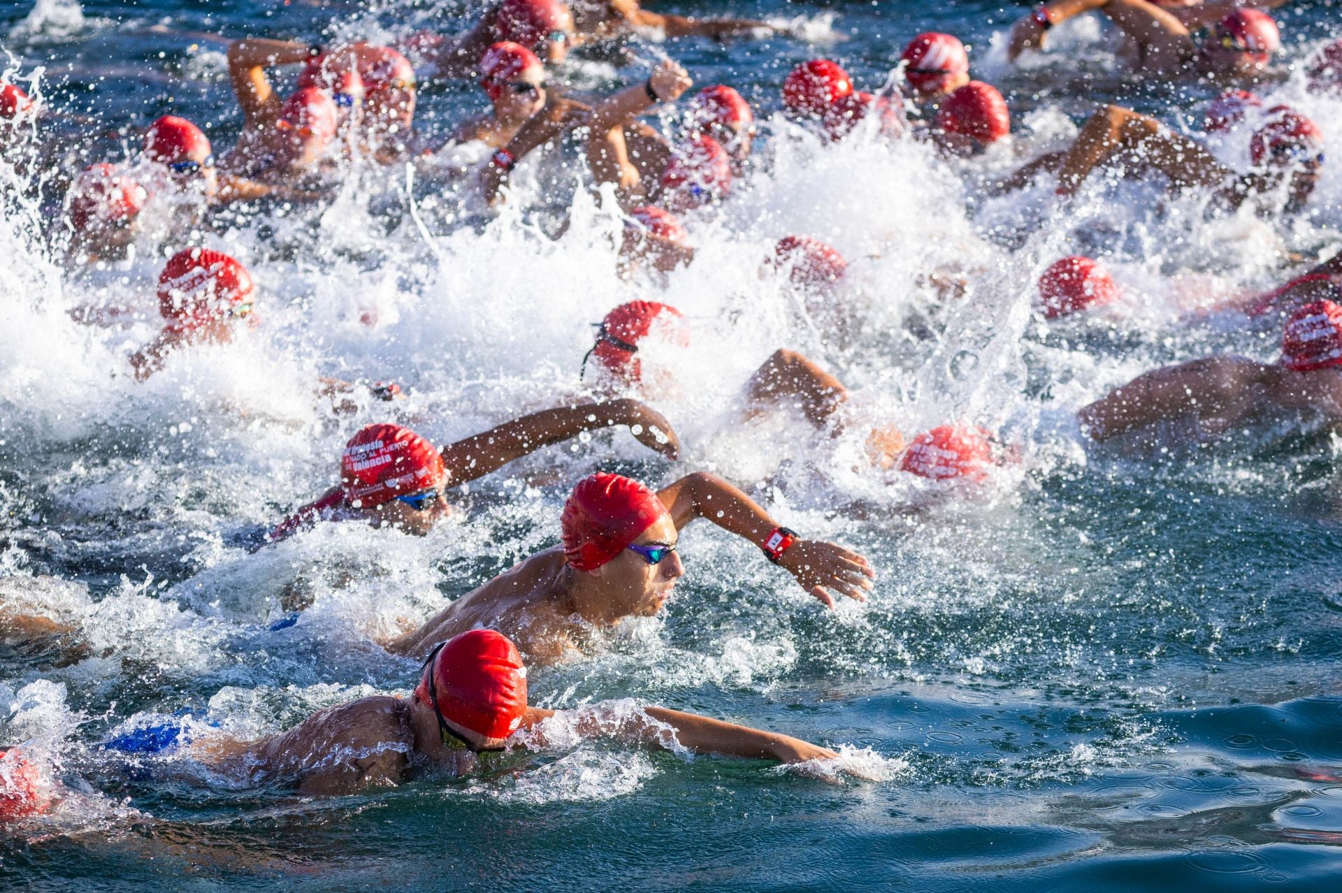 Búscate en la Travesía a nado del Puerto de Valencia de este sábado