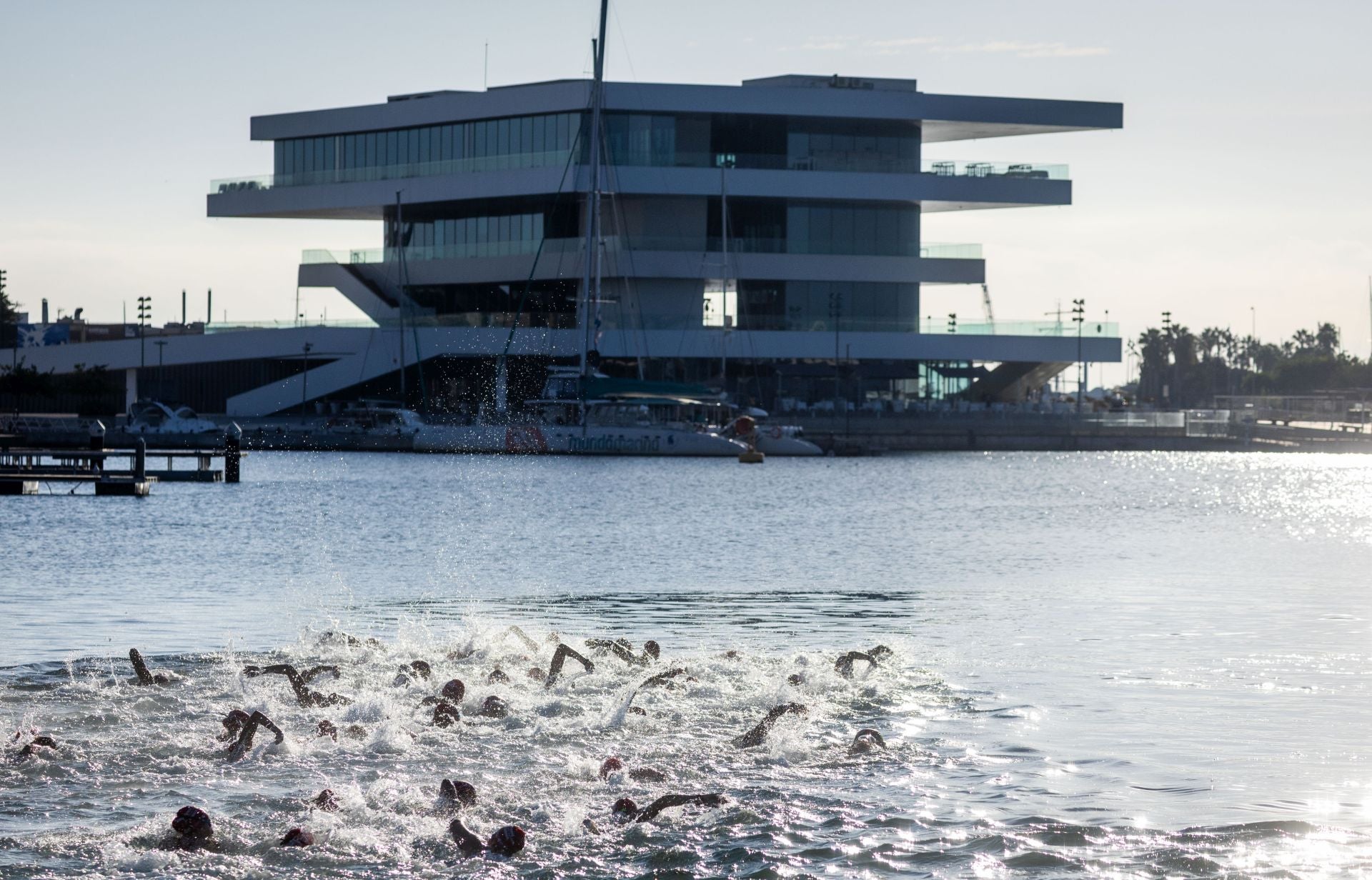 Búscate en la Travesía a nado del Puerto de Valencia de este sábado