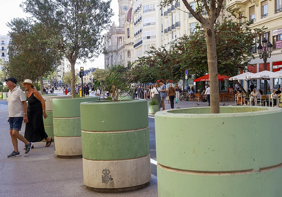 Maceteros de la plaza del Ayuntamiento que se destinarán a colonias de gatos.