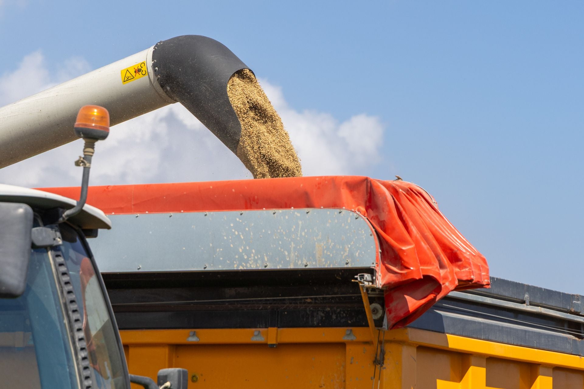 FOTOS | La cosecha del arroz en la Albufera