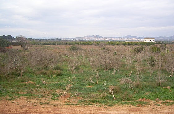 Terrenos objeto de la sentencia.