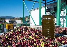 El aceite de oliva es el producto estrella de las importanciones andaluzas.