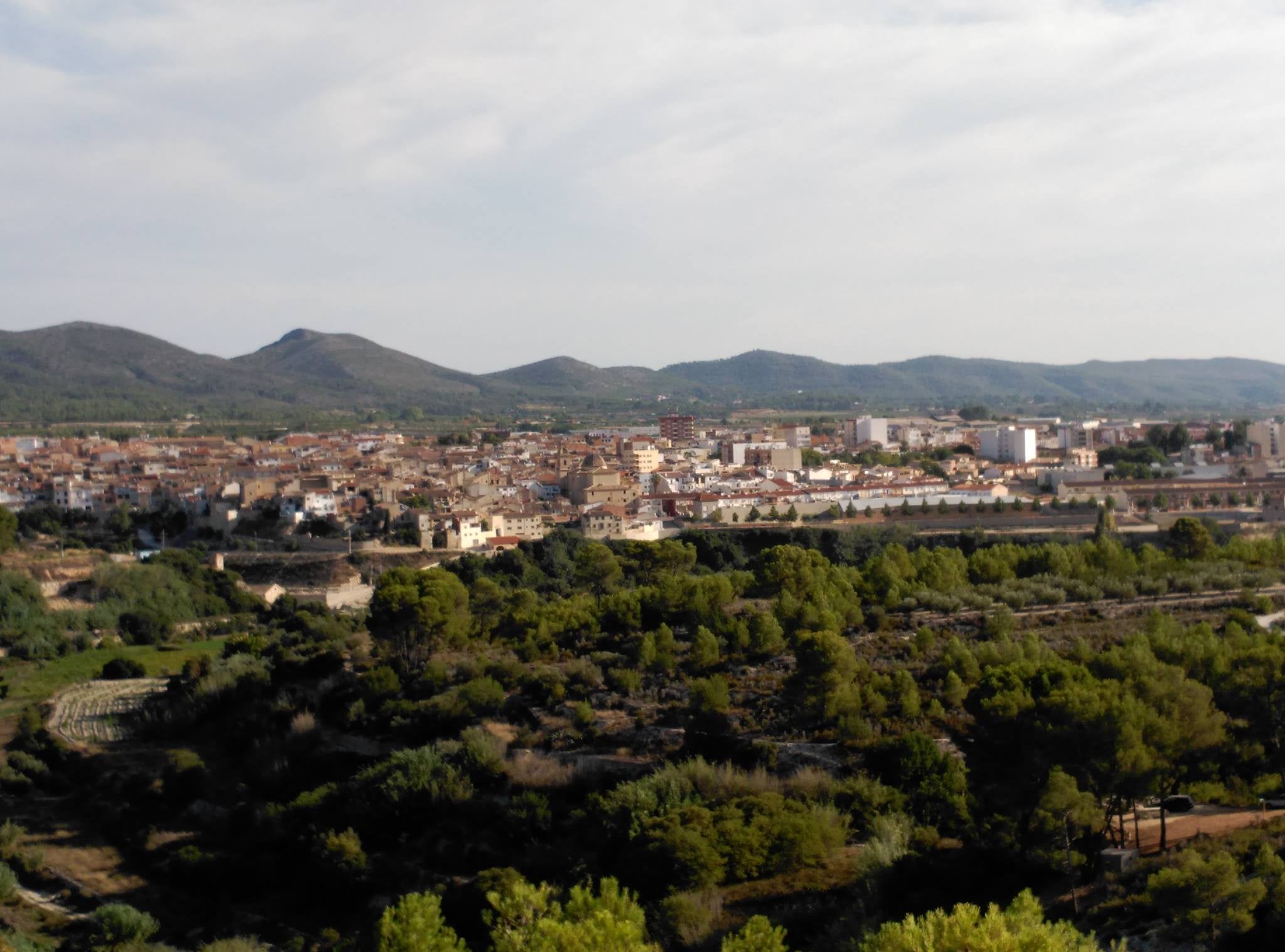 Vista general de Aielo de Malferit.