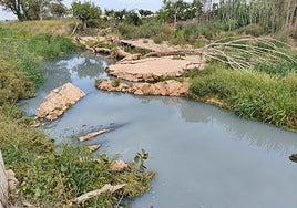 Tramo del río Magro donde se ha producido el vertido.