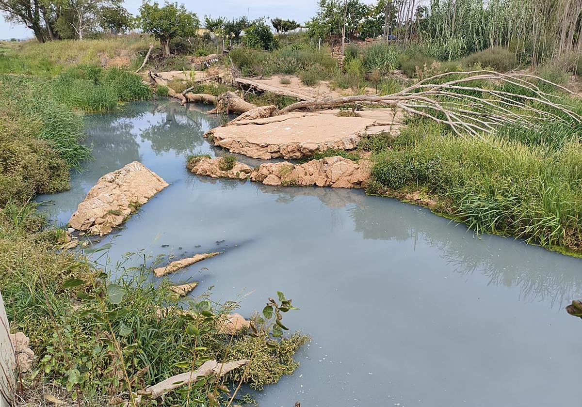 Tramo del río Magro donde se ha producido el vertido.