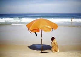 Estos son los perros que pueden ir a cualquier playa, según la ley