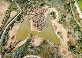 Vista aérea del tancat de la Pipa.