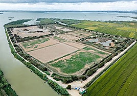 El tancat de la Pipa de la Albufera, seco más de diez meses después de la dana.
