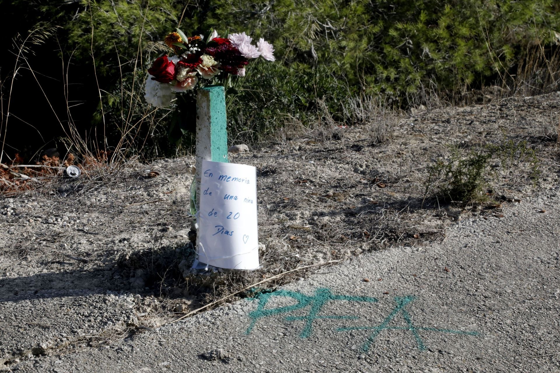 Imagen secundaria 2 - Ralph, un vecino suizo, regando las flores depositadas junto al lugar del accidente.