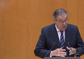 El senador Gerardo Camps, en el pleno de este miércoles.