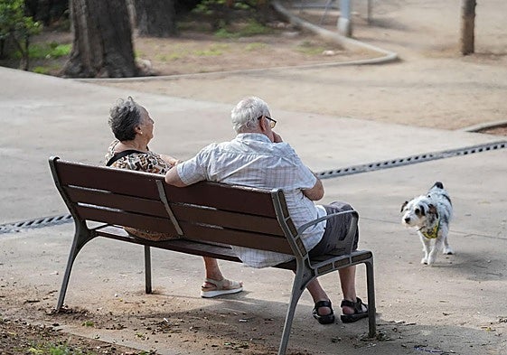 Dos jubilados y un perro en un parque.
