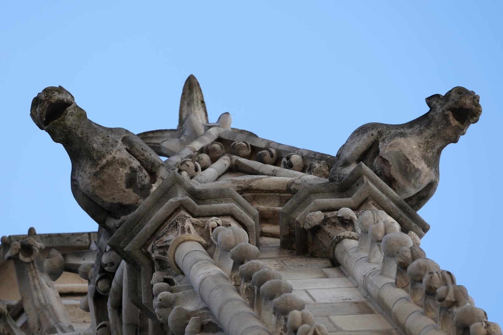 FOTOS | Las torres de Notre Dame ya se pueden visitar