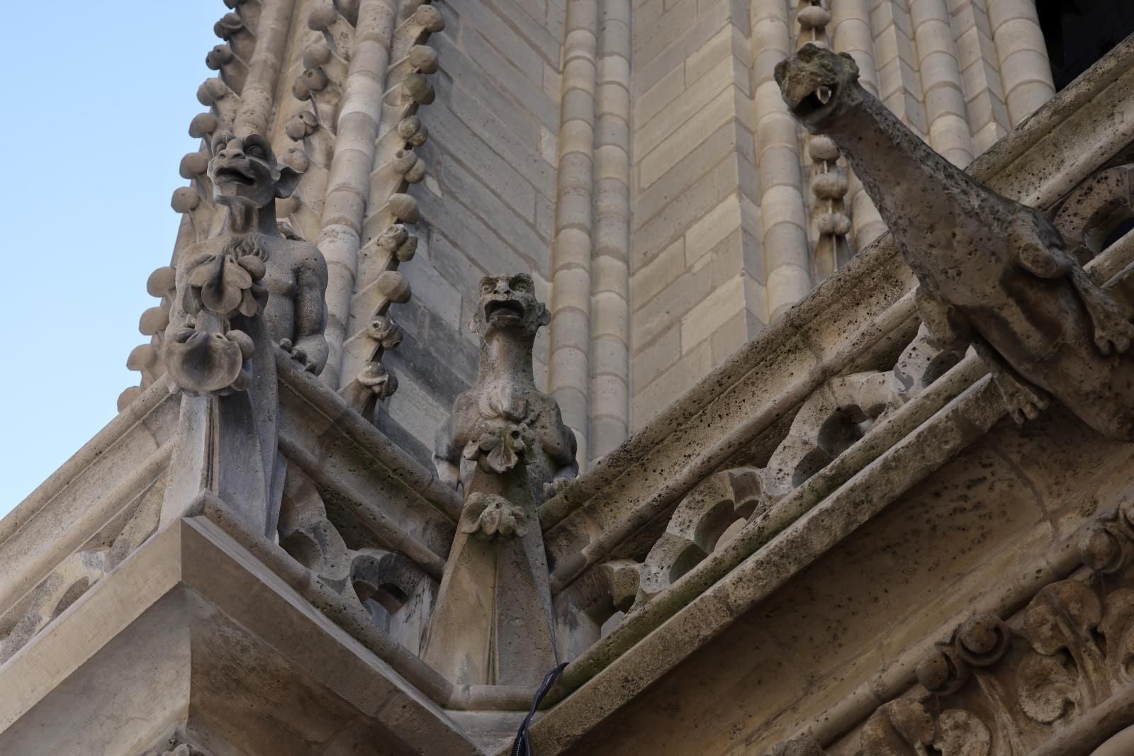FOTOS | Las torres de Notre Dame ya se pueden visitar