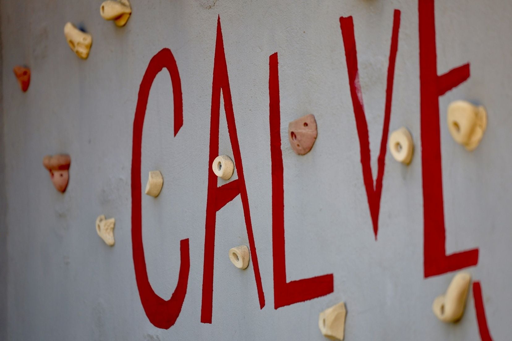 FOTOS | Las candidatas a fallera mayor infantil de Valencia se van de convivencia a Calvestra