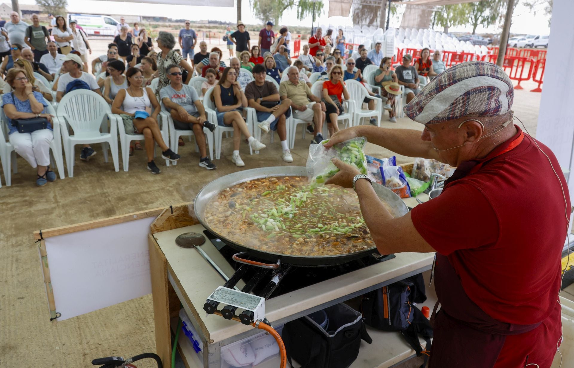 FOTOS | Catarroja celebra la fiesta de la siega del arroz 2025