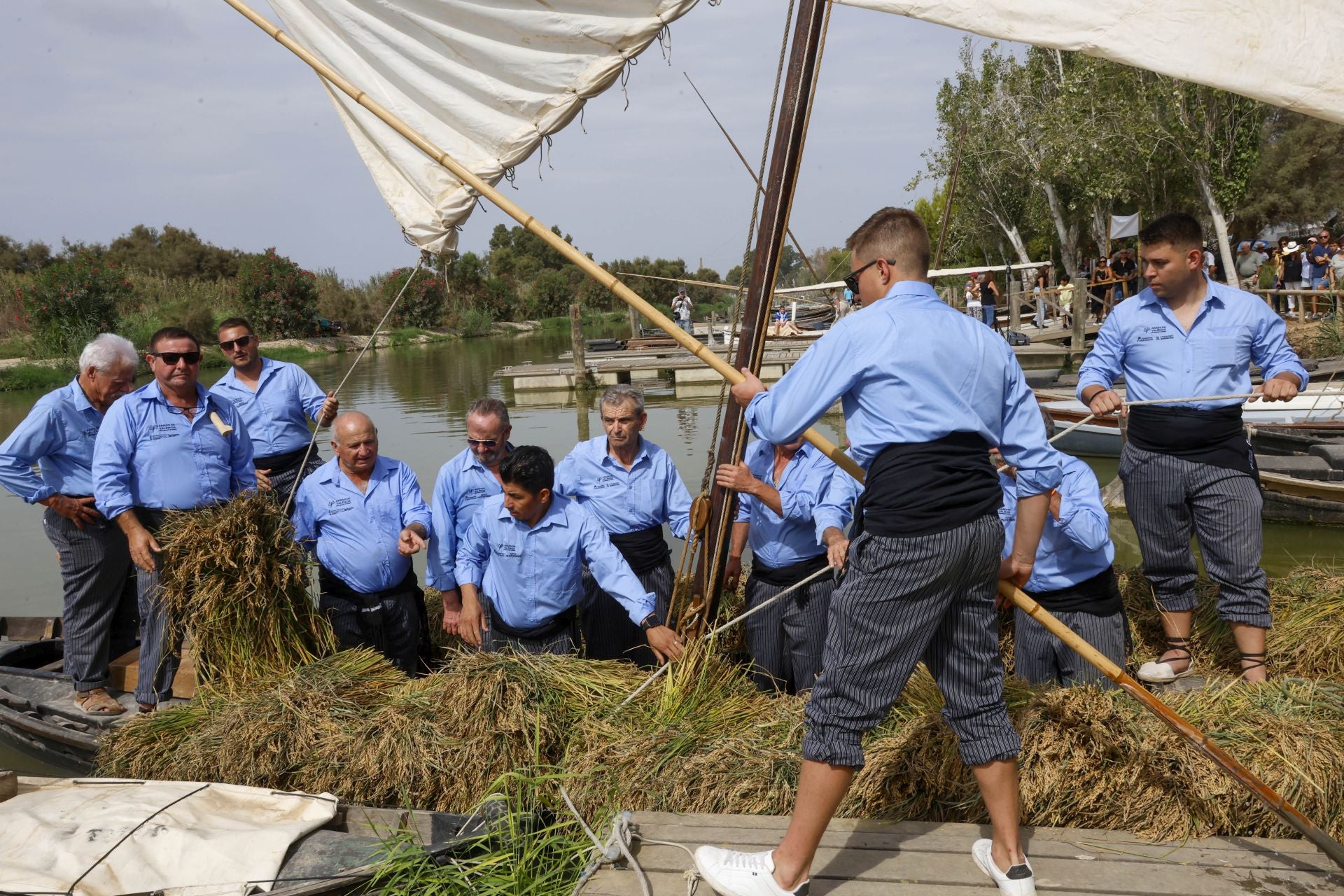 FOTOS | Catarroja celebra la fiesta de la siega del arroz 2025
