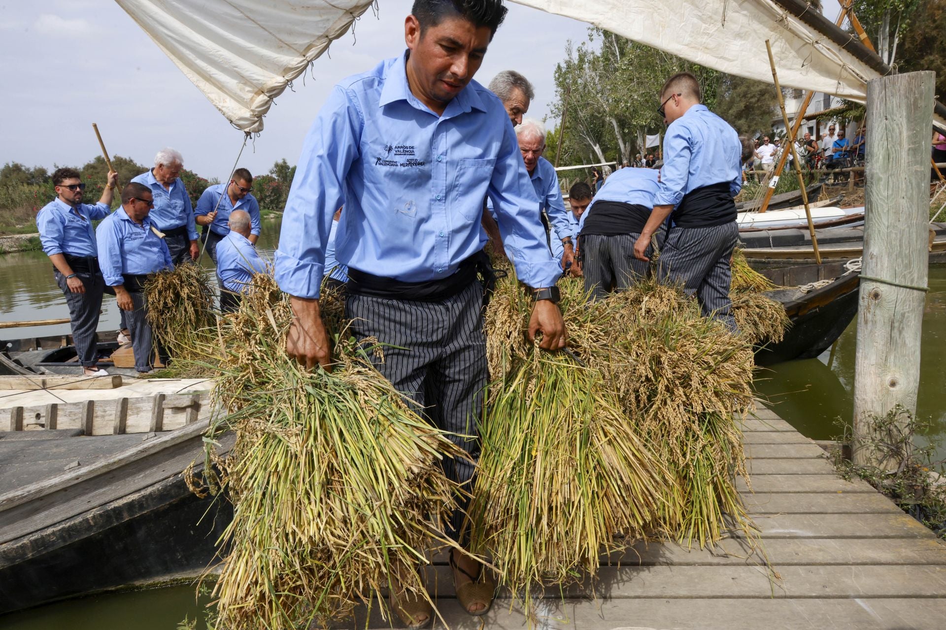FOTOS | Catarroja celebra la fiesta de la siega del arroz 2025