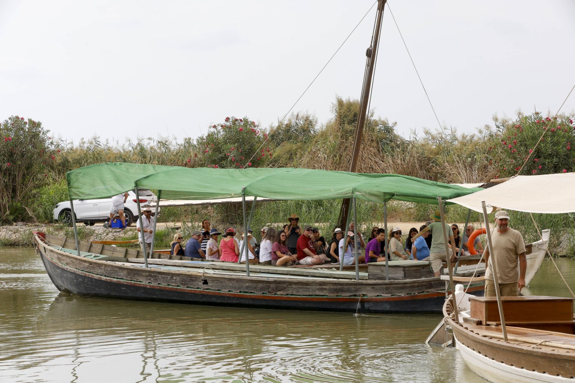 FOTOS | Catarroja celebra la fiesta de la siega del arroz 2025