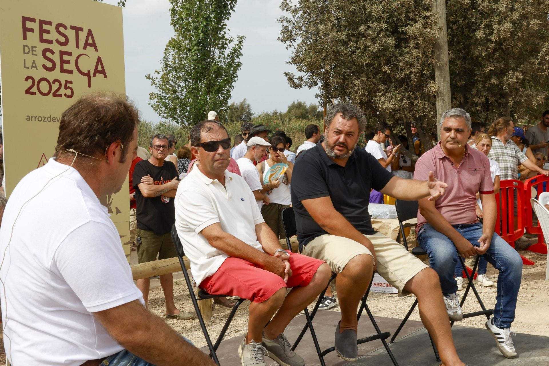 FOTOS | Catarroja celebra la fiesta de la siega del arroz 2025