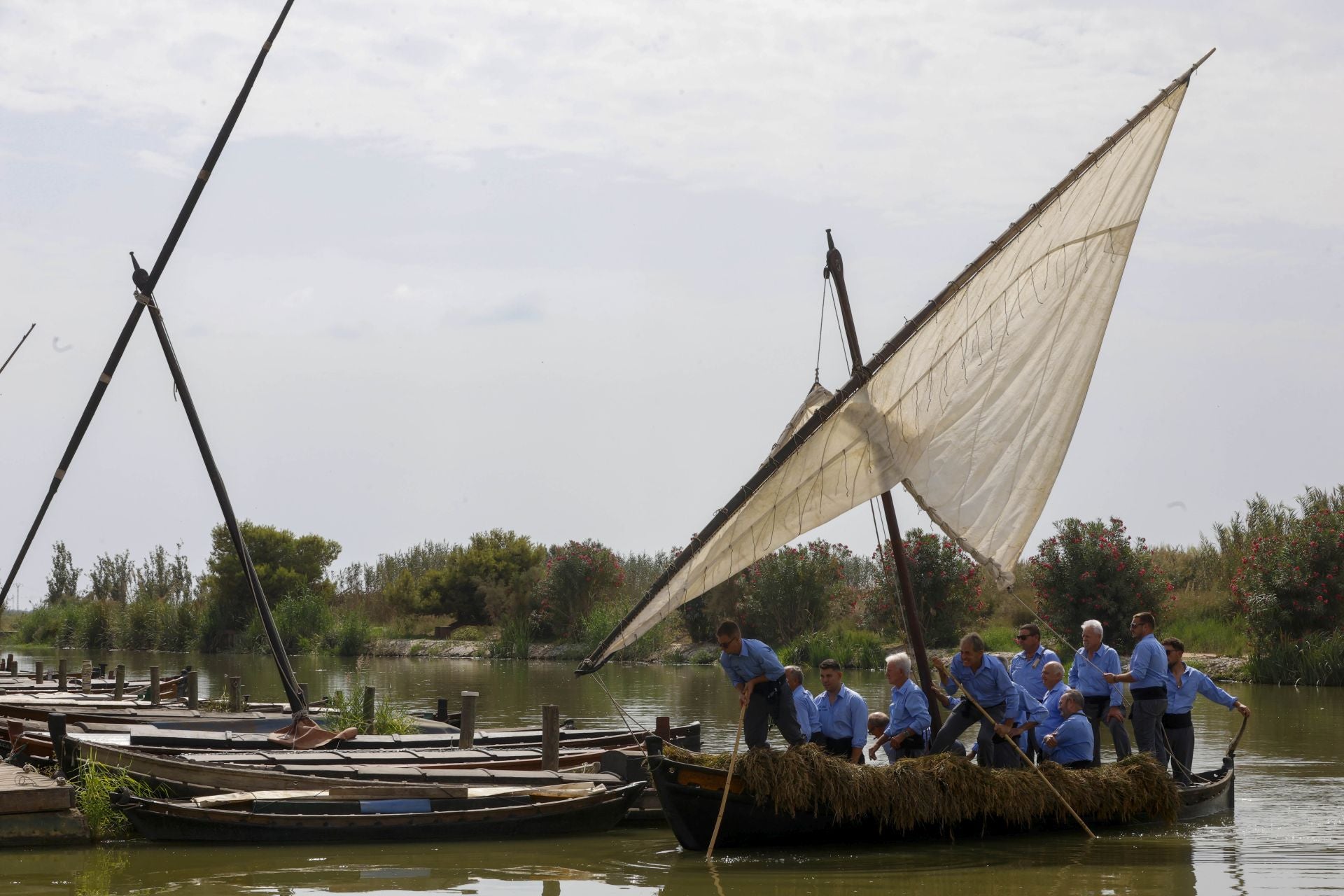 FOTOS | Catarroja celebra la fiesta de la siega del arroz 2025