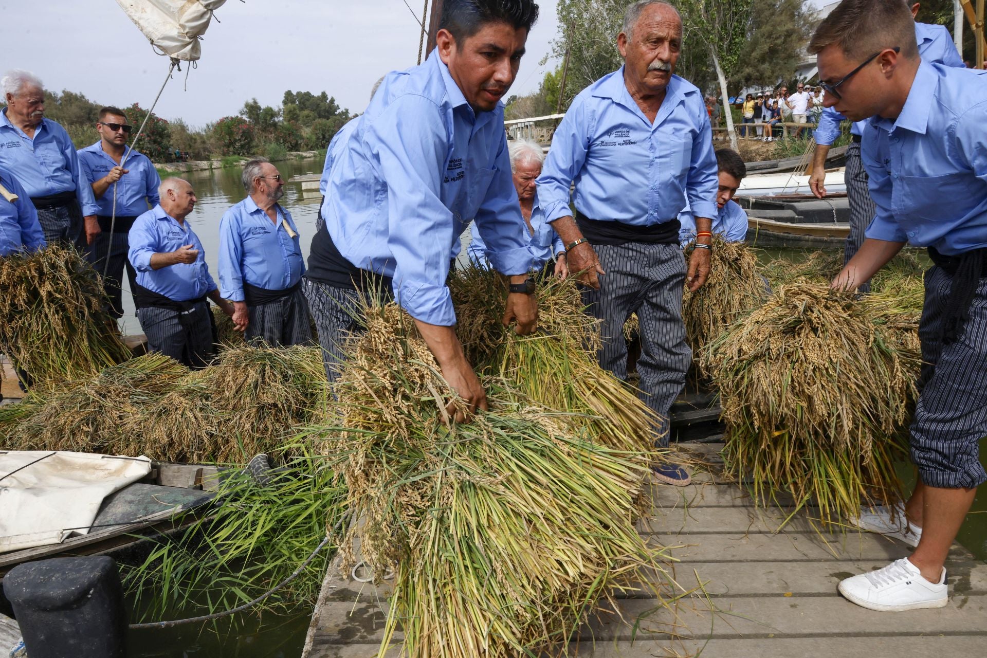 FOTOS | Catarroja celebra la fiesta de la siega del arroz 2025