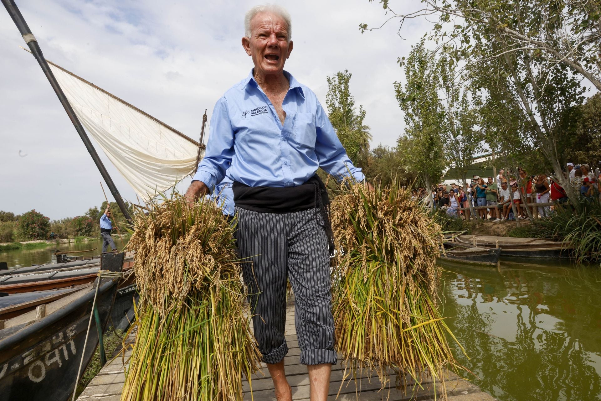 FOTOS | Catarroja celebra la fiesta de la siega del arroz 2025