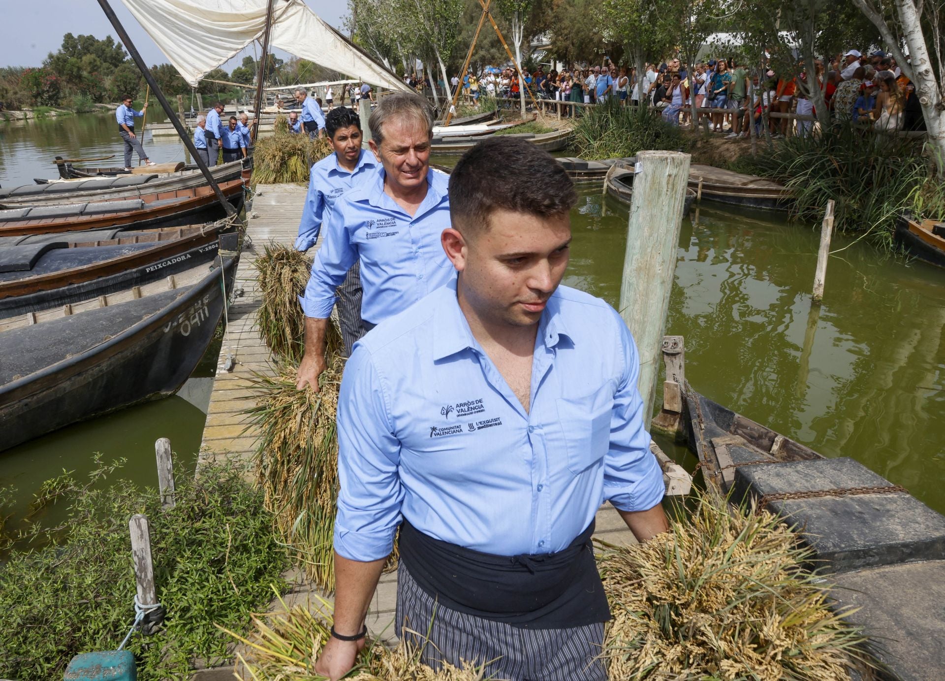 FOTOS | Catarroja celebra la fiesta de la siega del arroz 2025