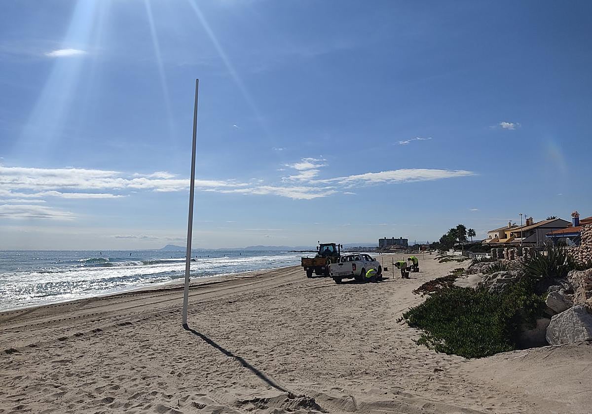 Operarios limpian la playa del Marenyet.