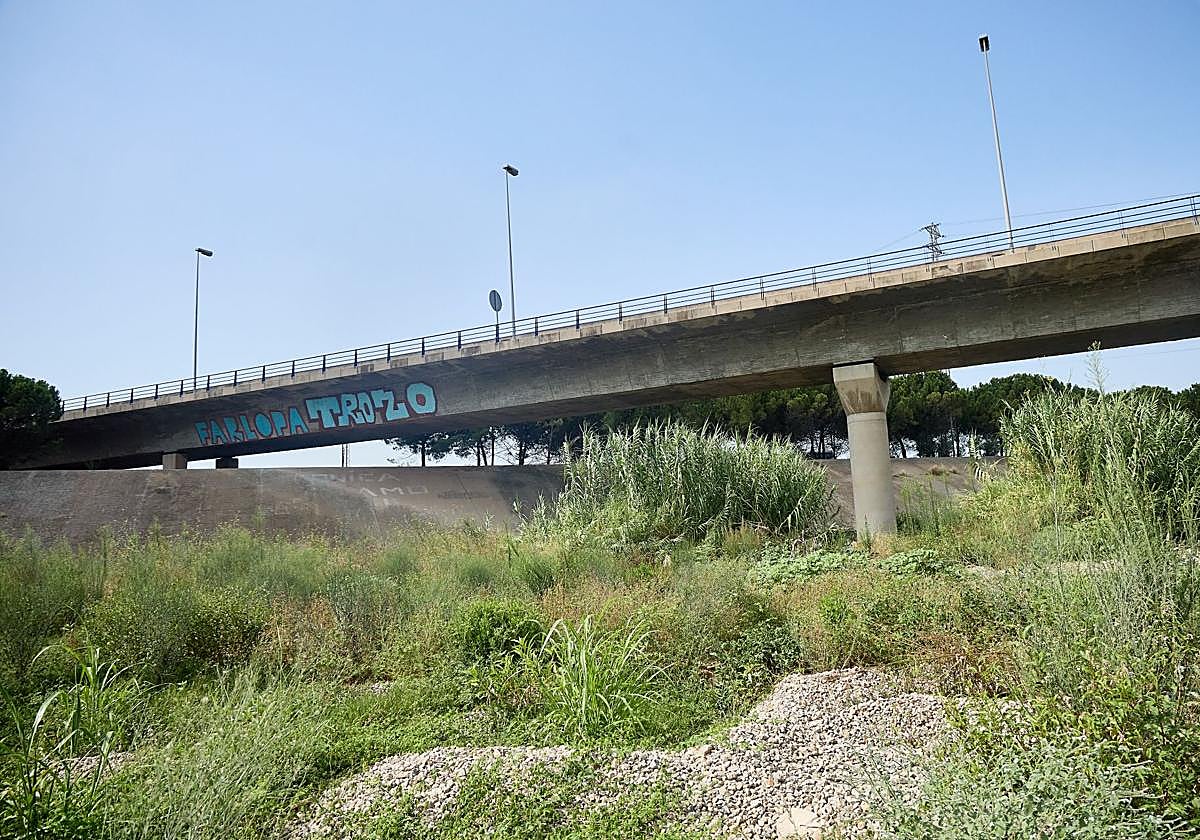 Tramo del nuevo cauce del Turia.