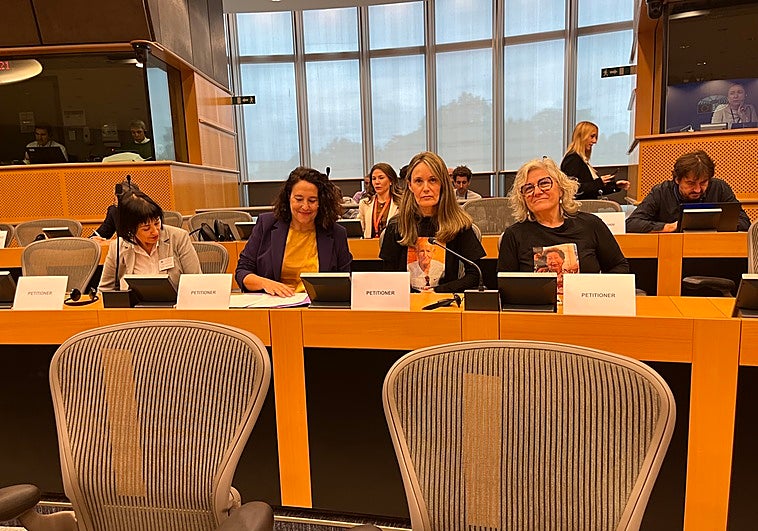 Representantes de las asociaciones de víctimas de la dana el Parlamento Europeo.