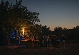 Garrofera más bonita de España en 2025, en la localidad de Chiva