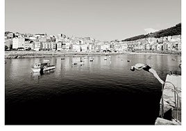 Paisaje de verano con fondo oscuro