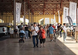 Una vez más, usuarios de todas las edades han acudido al Tinglado 2 de La Marina para conocer la amplia oferta de vehículos electrificados de ECOMOV.