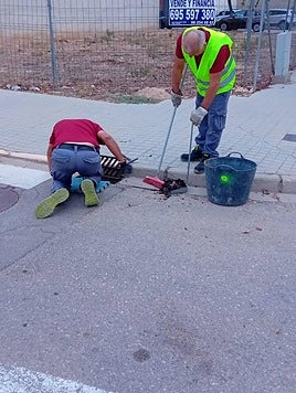 Limpieza de imbornales en l'Alcúdia.