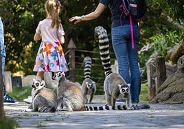 Unos visitantes en el Bioparc.