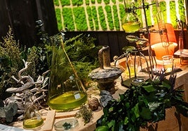 El Museo de Bellas Artes de València presenta «Noche en el Museo 2025» con motivo de la València Design Fest.