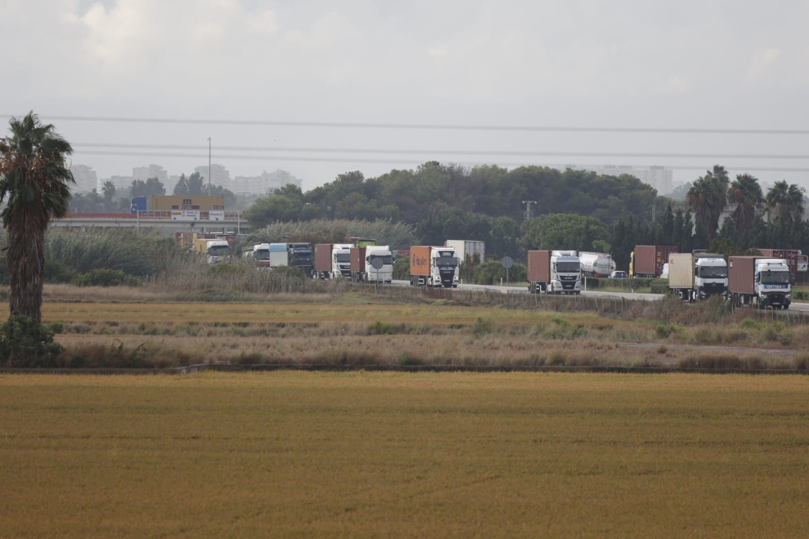 Avalancha de camiones para descargar contenedores en el puerto tras el cierre de la estiba por la alerta roja