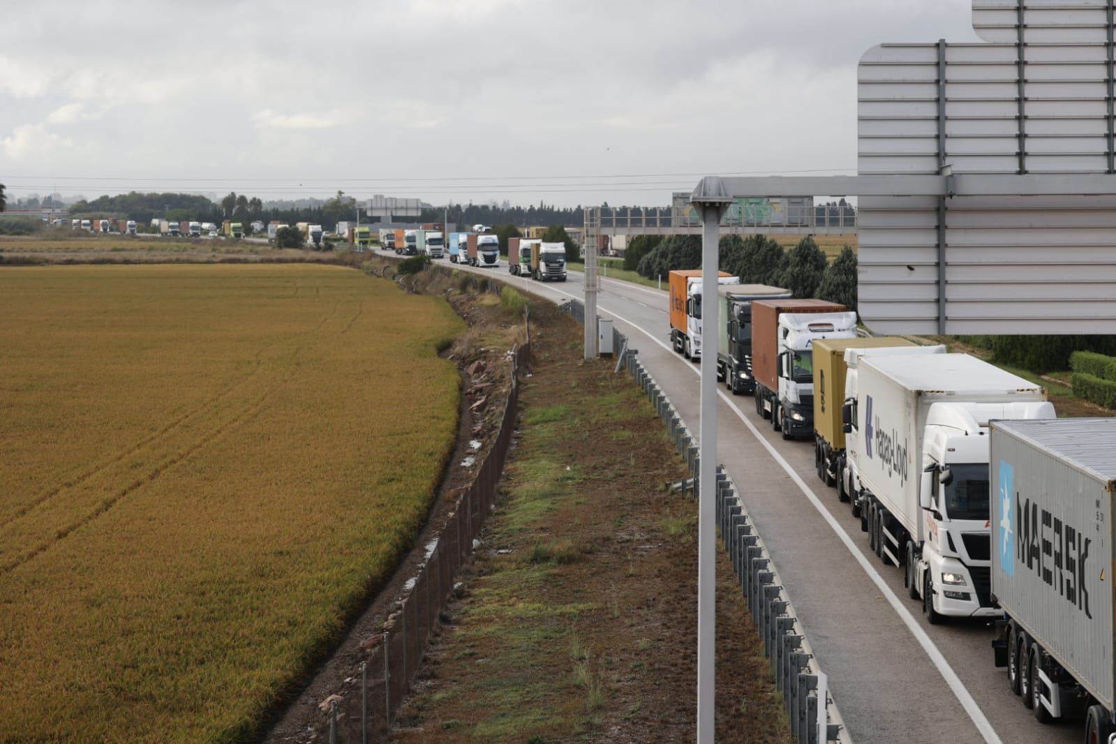 Avalancha de camiones para descargar contenedores en el puerto tras el cierre de la estiba por la alerta roja