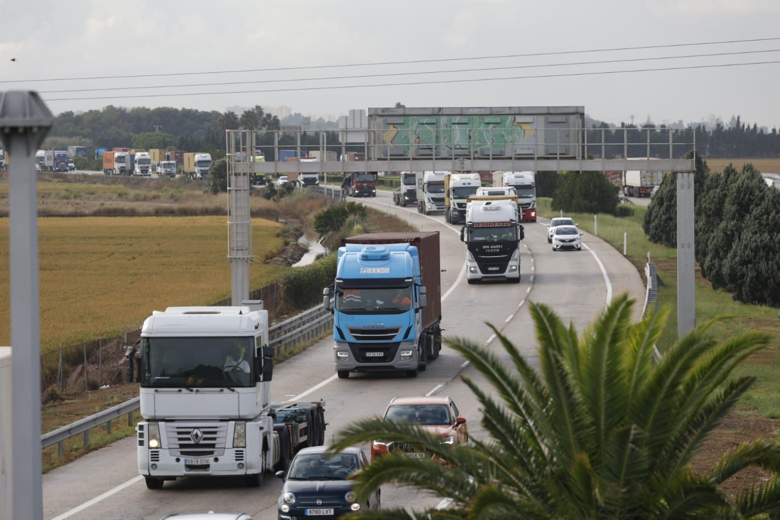 Avalancha de camiones para descargar contenedores en el puerto tras el cierre de la estiba por la alerta roja
